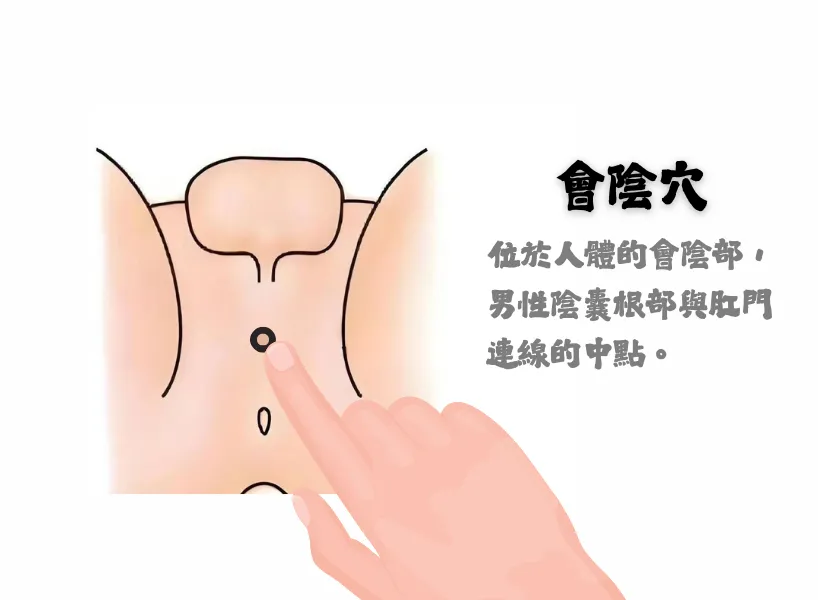 抓龍筋位置