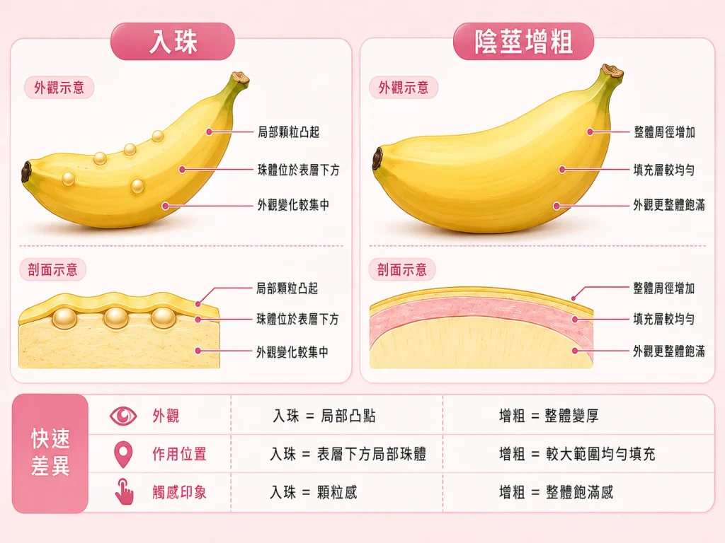 入珠與陰莖增粗作用位置及外觀差異