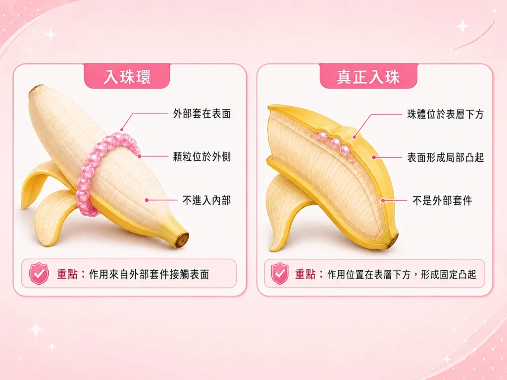 入珠環與真正入珠作用位置差異示意圖